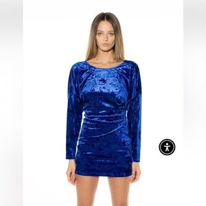 Ronny Kobo Blue Velvet Sasha Mini Dress size small